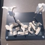3D Sculptures in pieces